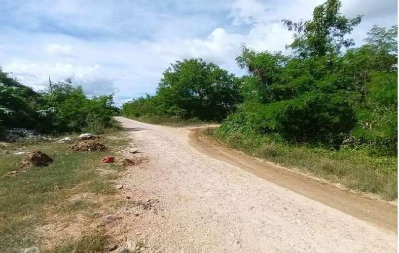 Solar en venta en Las Acacias - Imagen 2