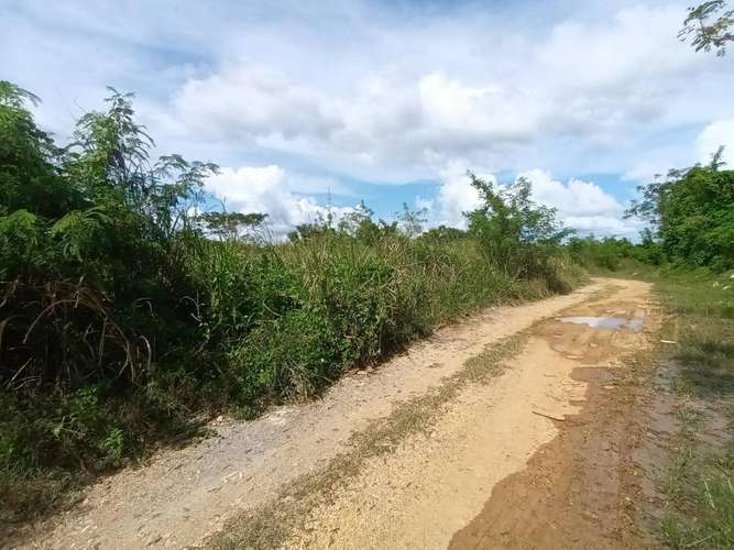 Solar en venta en Las Acacias - Imagen 3