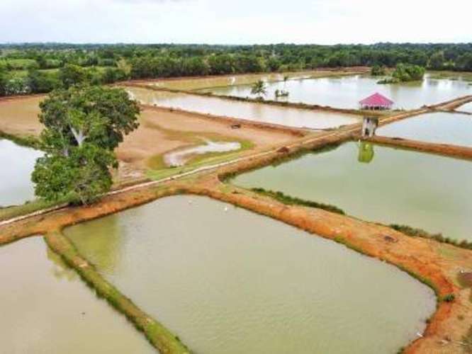 Hermosa Finca en San Antonio de Guerra - Imagen 5