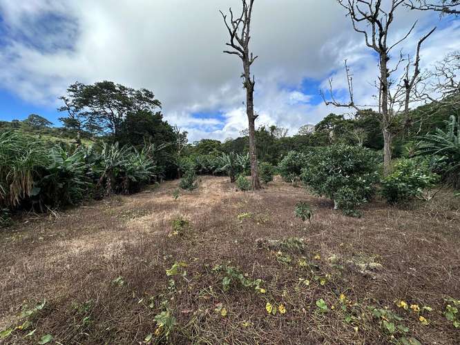 Finca en Barahona  - Imagen 2
