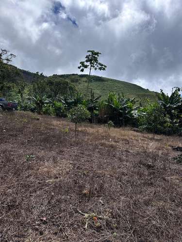 Finca en Barahona  - Imagen 7