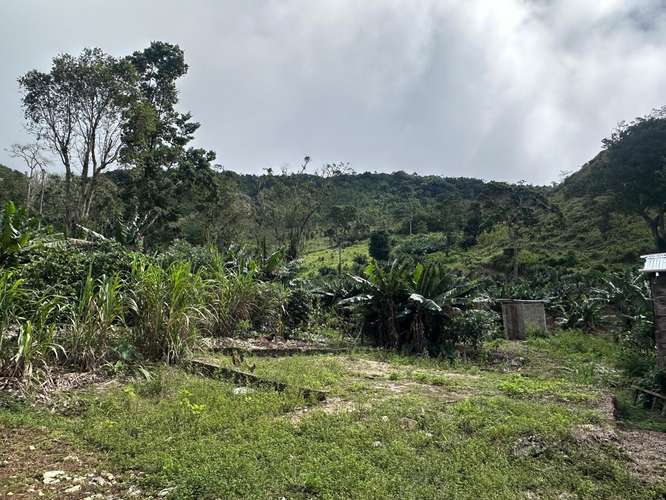Finca en Barahona  - Imagen 9