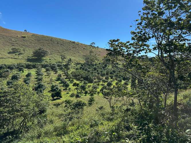Finca en Barahona  - Imagen 14