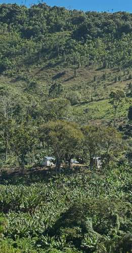 Finca en Barahona  - Imagen 13