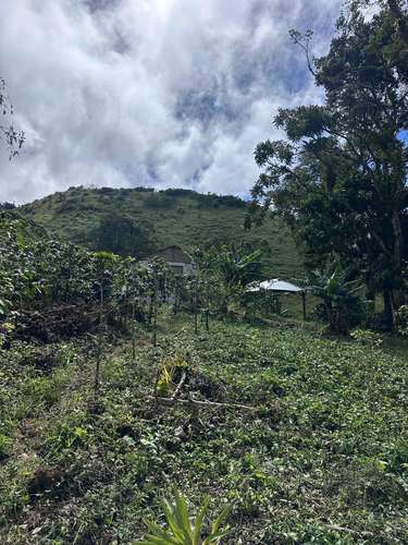 Finca en Barahona  - Imagen 4