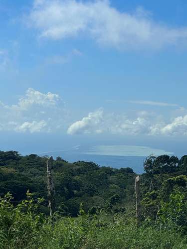 Finca en Barahona  - Imagen 5