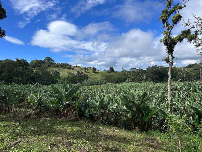 Finca en Barahona  - Imagen 8