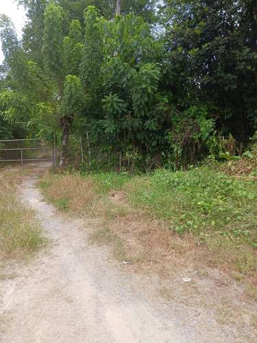 Terreno en Venta Carretera la Cuaba - Imagen 1