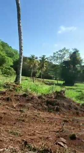 TERRENO EN VENTA | CARRETERA SAMANLAS GALERAS - Imagen 3