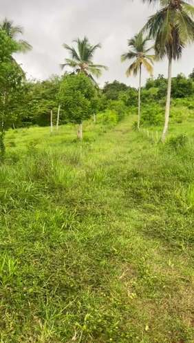 TERRENO EN VENTA | CARRETERA SAMANLAS GALERAS