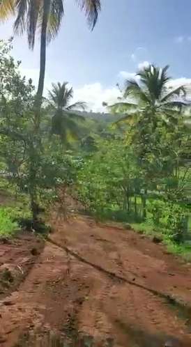 TERRENO EN VENTA | CARRETERA SAMANLAS GALERAS - Imagen 2