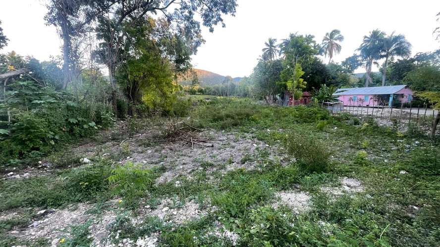 ¡Excelente oportunidad de inversión lista para desarrollar en Cabral, Barahona. - Imagen 3