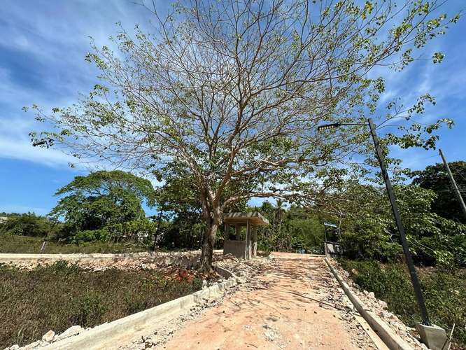 Lotes en Residencial Cerrado a Minutos de las Playas de Las Galeras, Samaná - Imagen 6