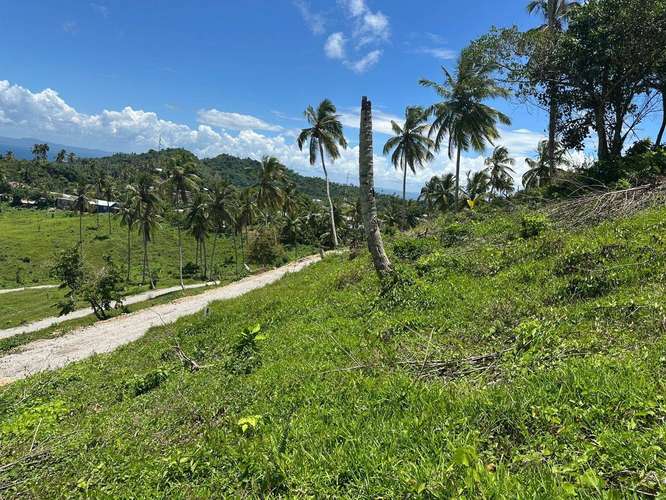 Lotes en las Colinas con Vista a la Bahía y Financiamiento Directo, Samaná - Imagen 7