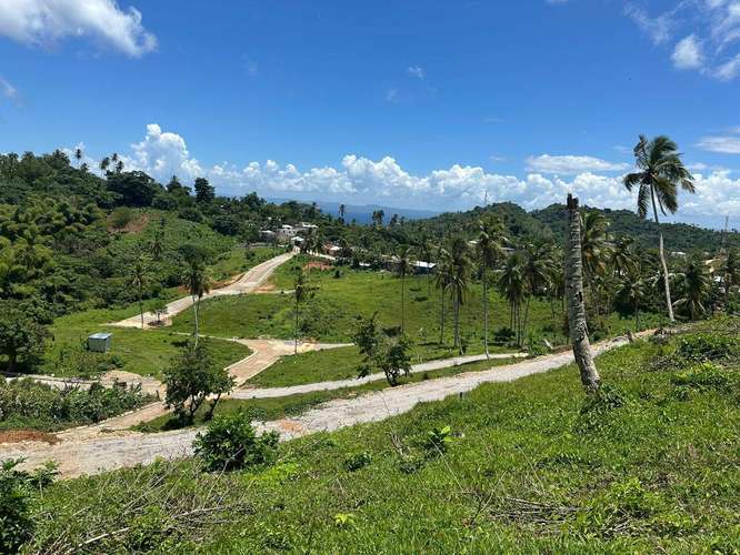 Lotes en las Colinas con Vista a la Bahía y Financiamiento Directo, Samaná - Imagen 8