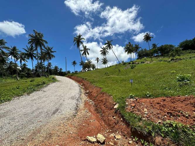 Lotes en las Colinas con Vista a la Bahía y Financiamiento Directo, Samaná - Imagen 3