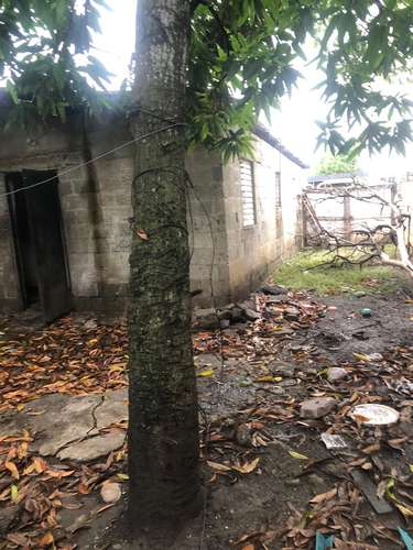Se vende casa frente a la Universidad Urania Montás, San Juan de la Maguana - Imagen 7