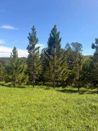  EXCLUSIVA OPORTUNIDAD DE VENTA TERRENO | 1,899.67 M² EN LOS MONTONES ABAJO - Imagen 6