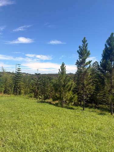  EXCLUSIVA OPORTUNIDAD DE VENTA TERRENO | 1,899.67 M² EN LOS MONTONES ABAJO - Imagen 8