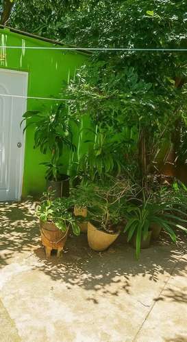  **AMPLIA CASA COMERCIAL EN ALQUILER | JARDINES METROPOLITANOS, SANTIAGO** - Imagen 2