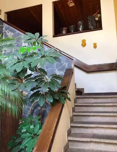 Venta terreno con 2 casas en zona 15, excelente ubicación e inversión. - Imagen 3