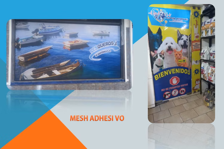 Mesh adhesivo