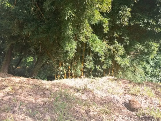 Terreno Residencia en Venta en La Montaña, Zona 16 - Imagen 8