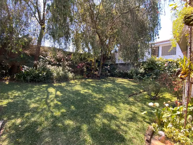 Casa con amplio terreno ideal para desarrollo, zona 15. - Imagen 2
