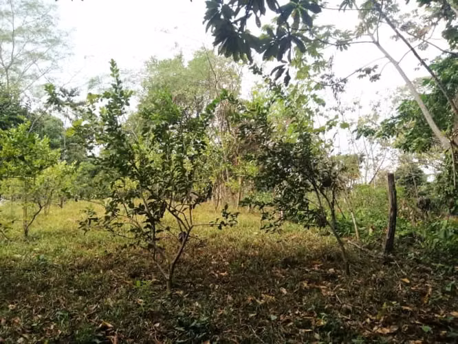 Terreno en Venta en Quintas Vallarta Escuintla