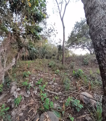 Terreno en Venta en Quintas Vallarta Escuintla