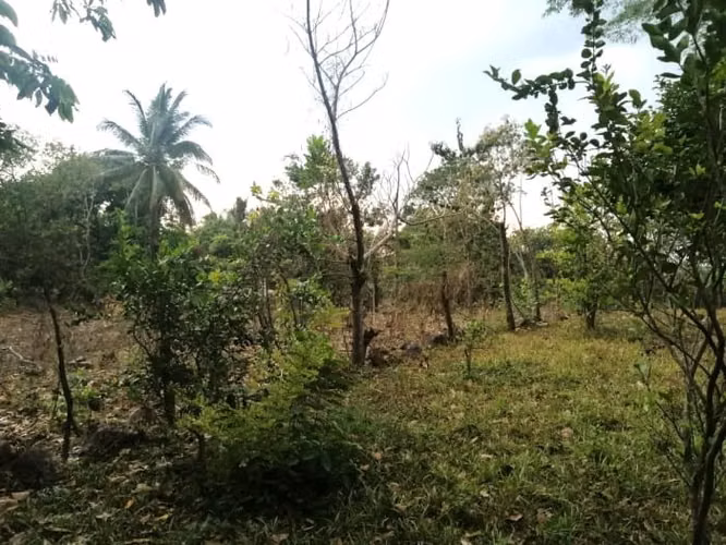 Terreno en Venta en Quintas Vallarta Escuintla