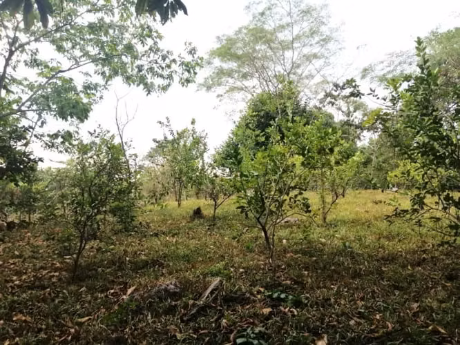 Terreno en Venta en Quintas Vallarta Escuintla