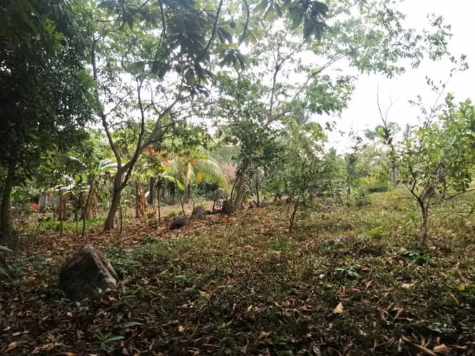 Terreno en Venta en Quintas Vallarta Escuintla