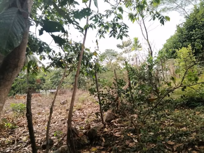 Terreno en Venta en Quintas Vallarta Escuintla