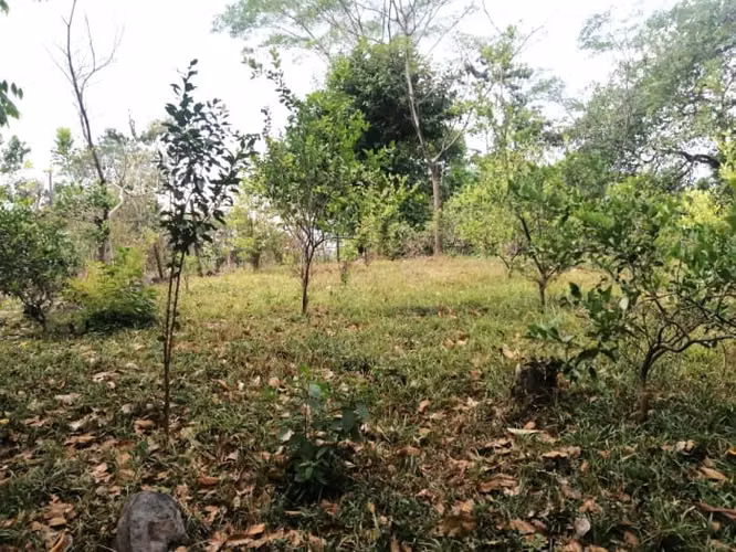 Terreno en Venta en Quintas Vallarta Escuintla