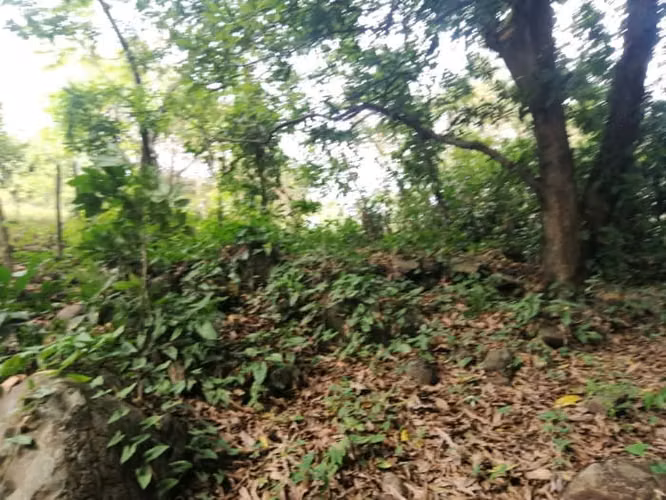 Terreno en Venta en Quintas Vallarta Escuintla