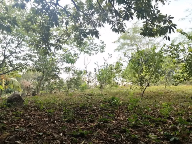 Terreno en Venta en Quintas Vallarta Escuintla