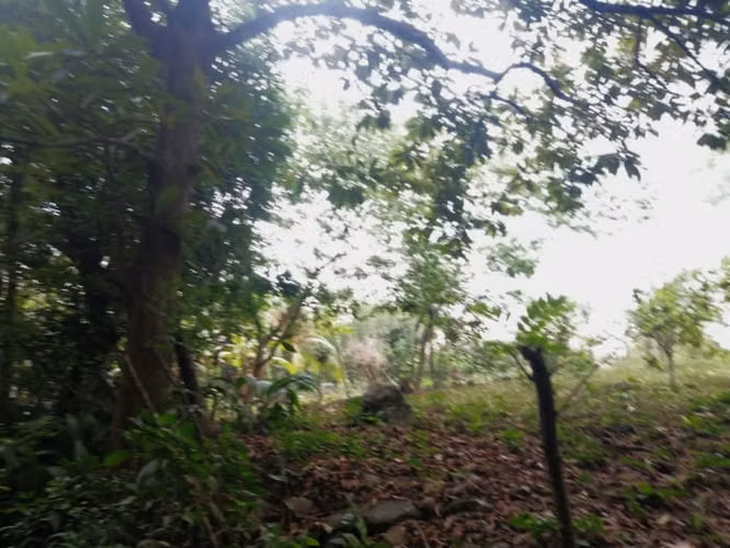 Terreno en Venta en Quintas Vallarta Escuintla