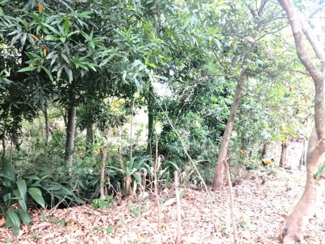 Terreno en Venta en Quintas Vallarta Escuintla