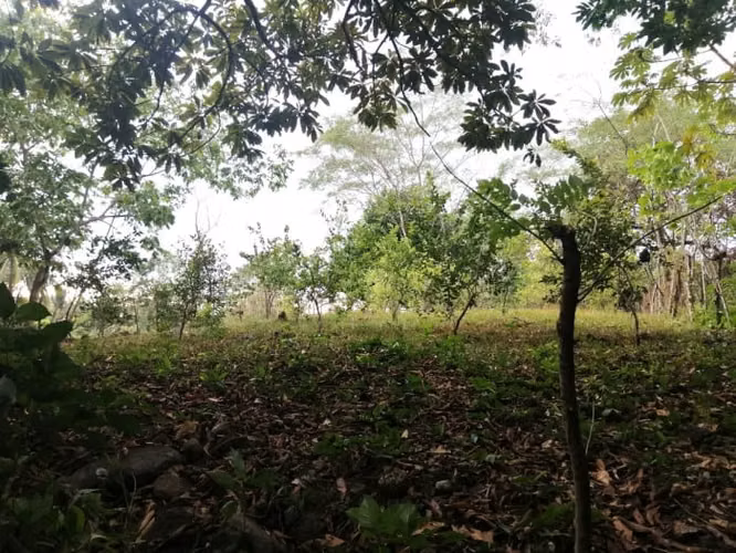 Terreno en Venta en Quintas Vallarta Escuintla