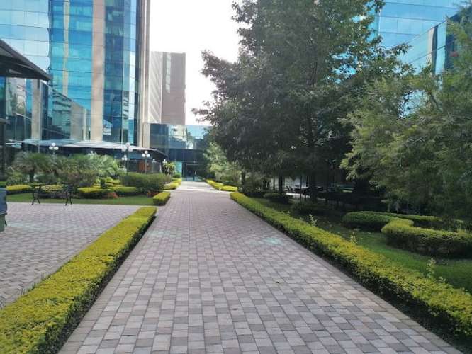 Oficinas en renta EUROPLAZA  Zona 14 - Imagen 2