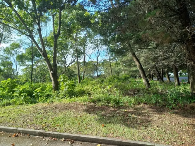Terreno Residencial en Venta en Km 23.5 CES