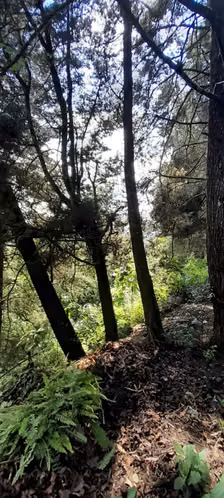 Terreno en Venta en Granja Buenos Aires - Imagen 6