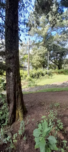 Terreno en Venta en Granja Buenos Aires - Imagen 9