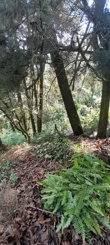 Terreno en Venta en Granja Buenos Aires - Imagen 12