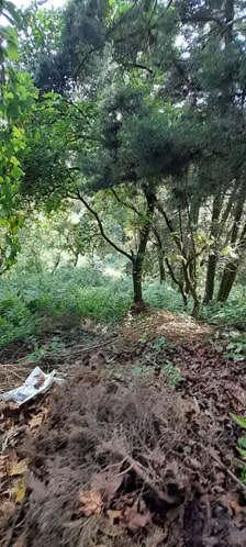Terreno en Venta en Granja Buenos Aires - Imagen 8