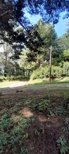 Terreno en Venta en Granja Buenos Aires - Imagen 11