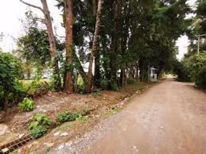 Terreno en Venta en Granja Buenos Aires - Imagen 2