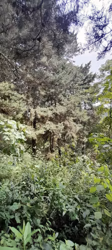 Terreno en Venta en Granja Buenos Aires - Imagen 10