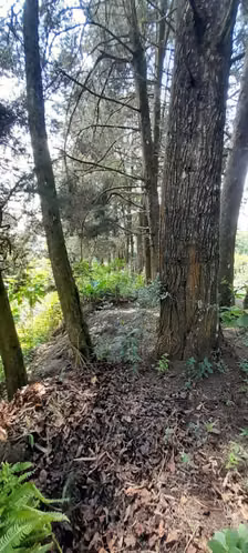 Terreno en Venta en Granja Buenos Aires - Imagen 7